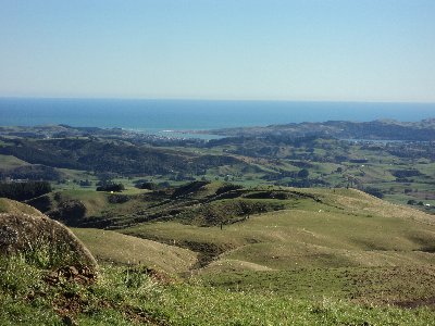 Raglan harbour